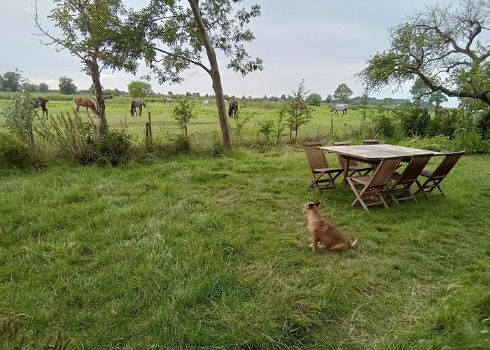 公寓 Wremen Wurster Nordseekuste